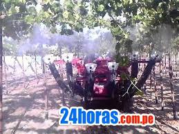 PULVERIZADOR DE UVA TRACTORIZADO