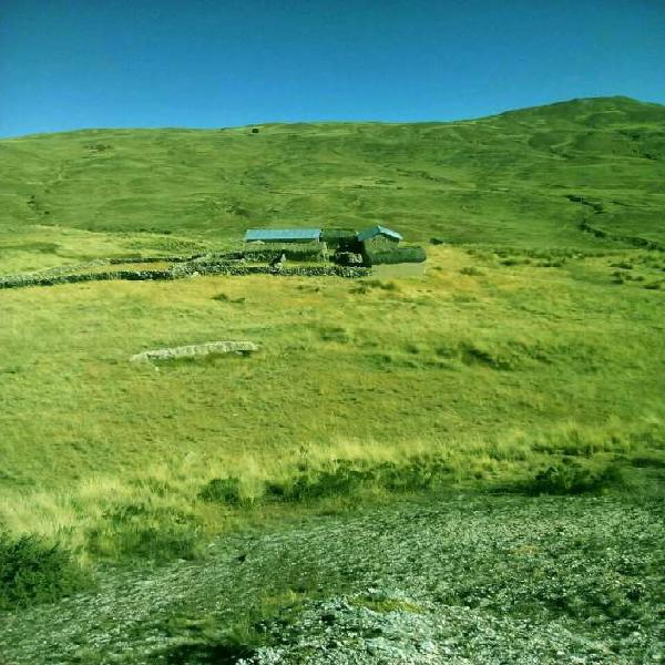 Terreno en asillo puno 45 ha. en Azángaro