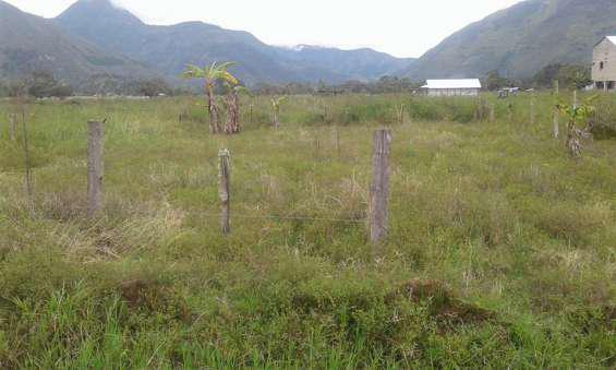 Vendo terreno en oxapampa en Oxapampa