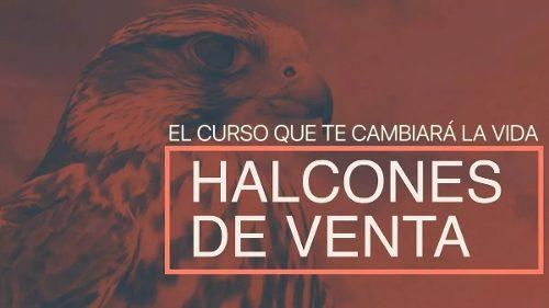 Halcones De Ventas - Carlos Muñoz 11