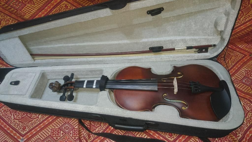Violin Fever Nuevo