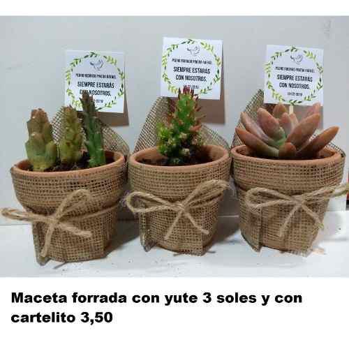 Cactus Y Suculentas Matrimonios Bautizos Baby Shower Misas