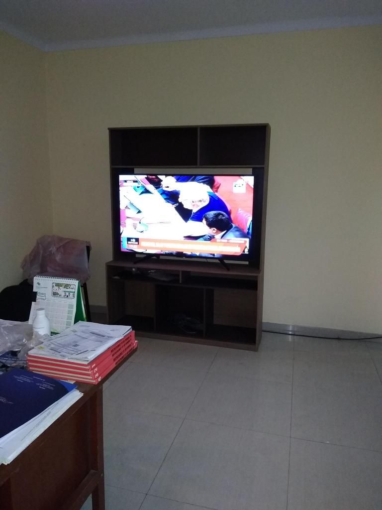 Vendo TV Sony de r galo se lleva el mueble