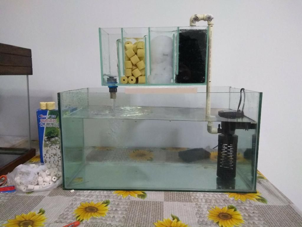 Filtro Sump Acuario Pecera Goldfish