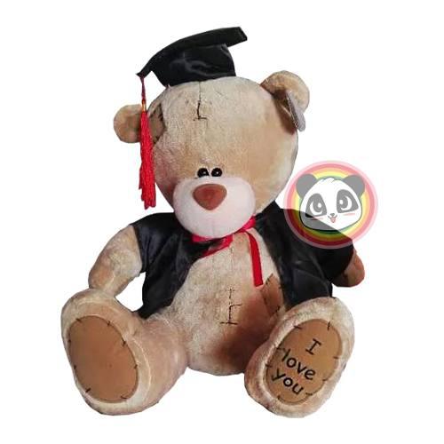 Oso De Peluche Graduado-graduacion