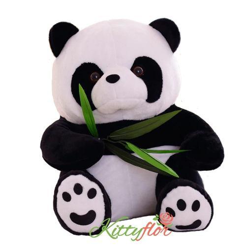 Oso Panda | Peluches De Amor Para Regalar