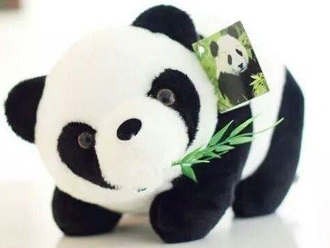 Peluche Oso Panda Bamboo Kawaii 15cm A 50cm + Bolsa Regalo