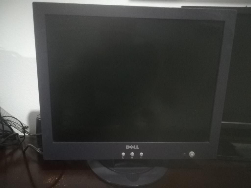 Monitor Dell de 15 Pulgadas con Cables