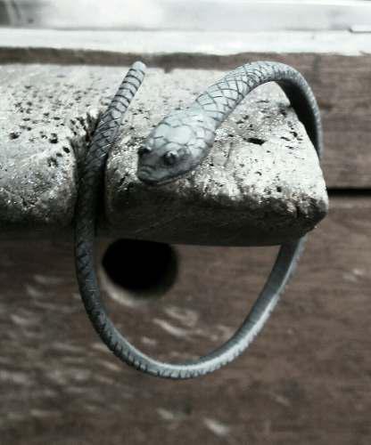 Brazalete De Serpiente En Plata Ley 950