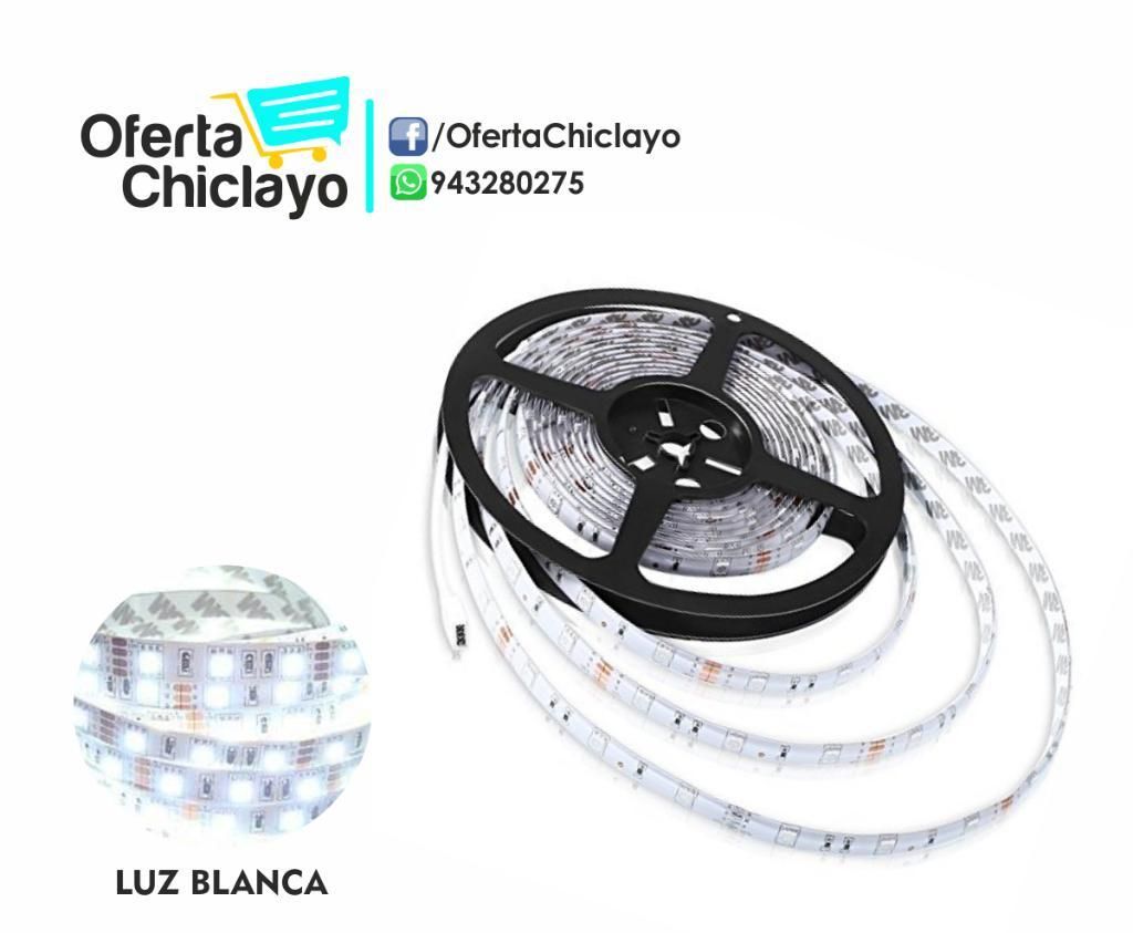 Cinta Led 5m