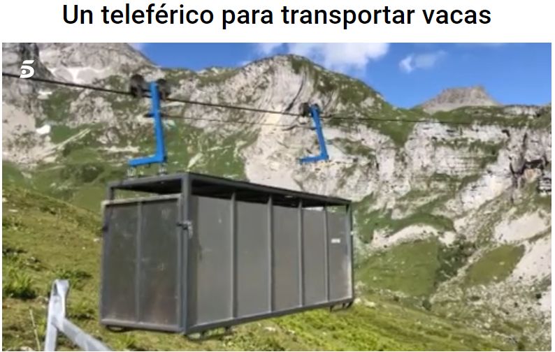 Teleférico para transportar vacas