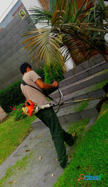 jardinero instalacion de grass a todo lima TRANSPORTE NO