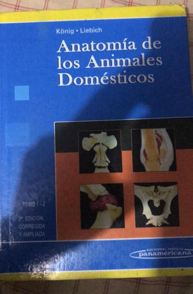 Anatomia de Animales Domesticos