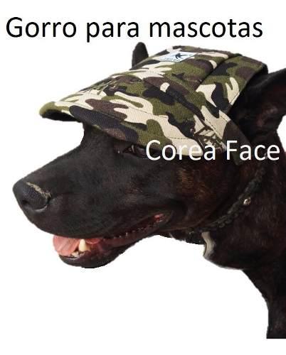 Gorro Para Perros Ideal Para Lluvia Otoño Invierno Dog Hat