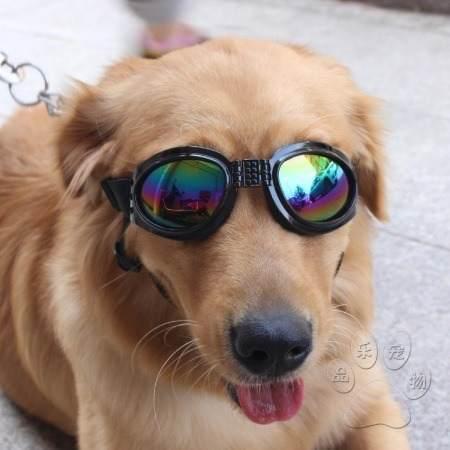 Lentes Para Perros Ideal Mascotas Motocicleta Accesorios Dog