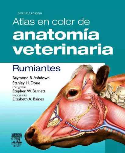 Atlas A Color Anatomía Veterinaria Rumiantes Envío Digital