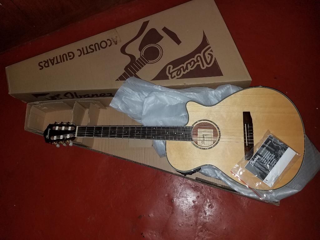 Guitarra Ibanez Modelo Aeg 10 Ii