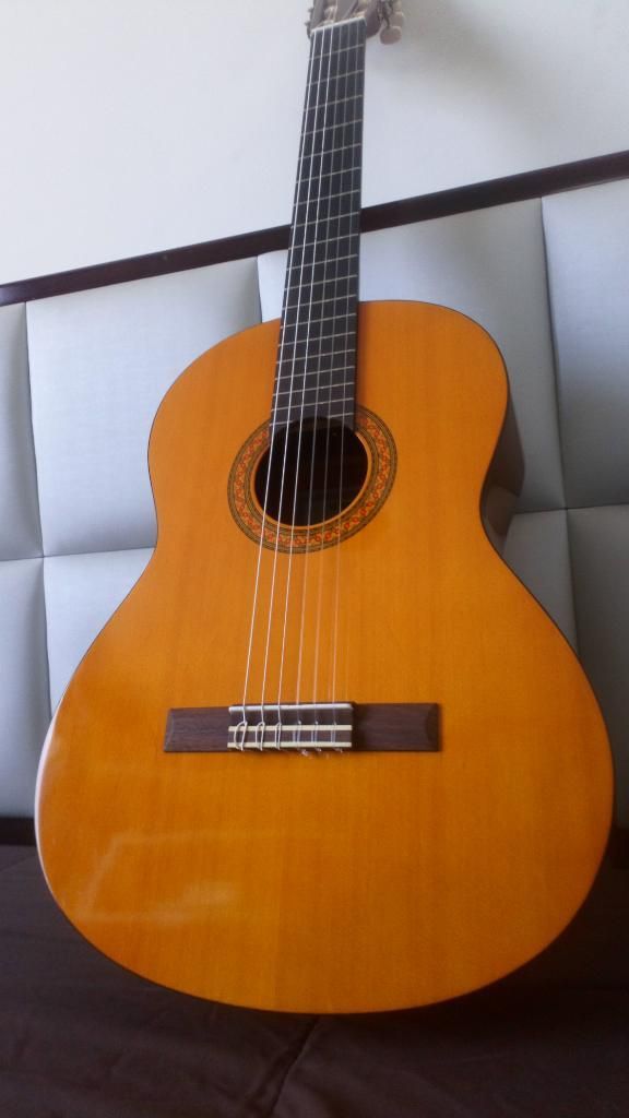 Vendo Guitarra Acustica !!!