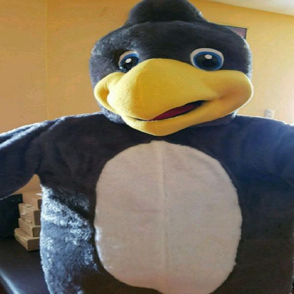 Crow mascot for parties