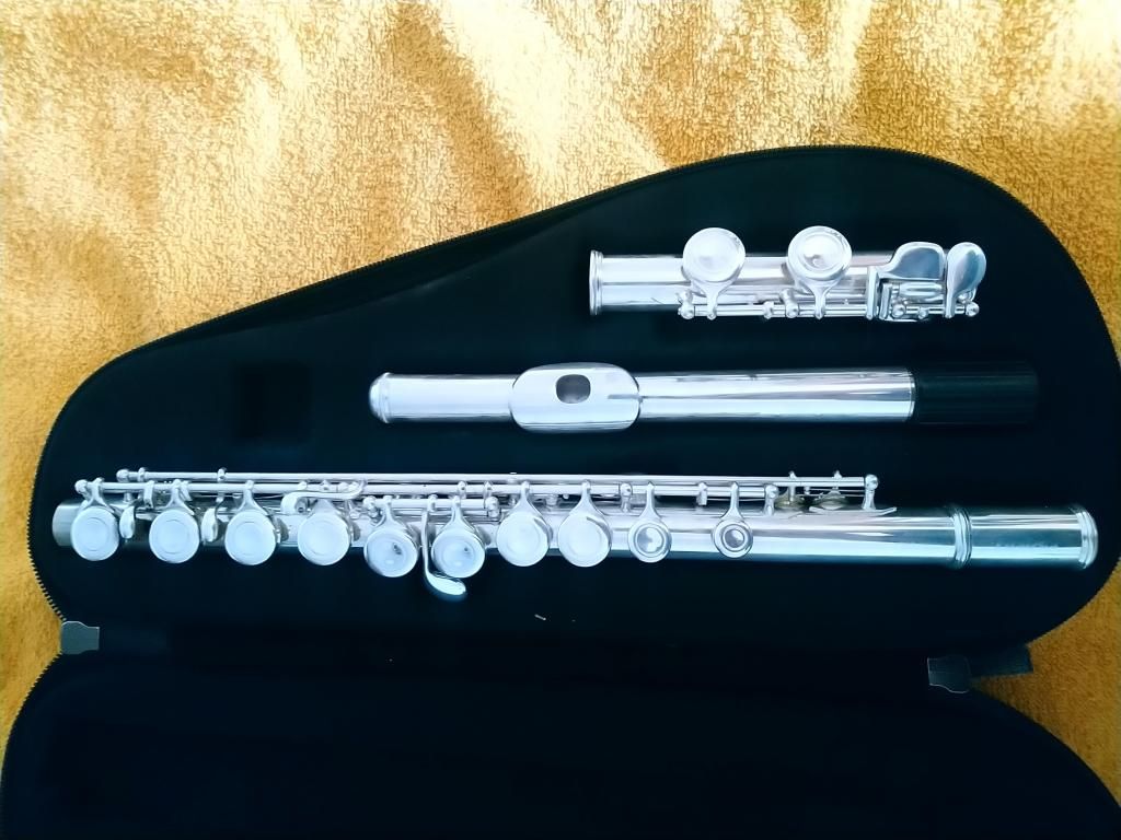 Flauta Traversa bañada en plata