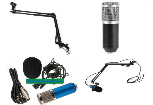 Microfono De Condensador Bm800 Con Brazo Mecanico Excelente