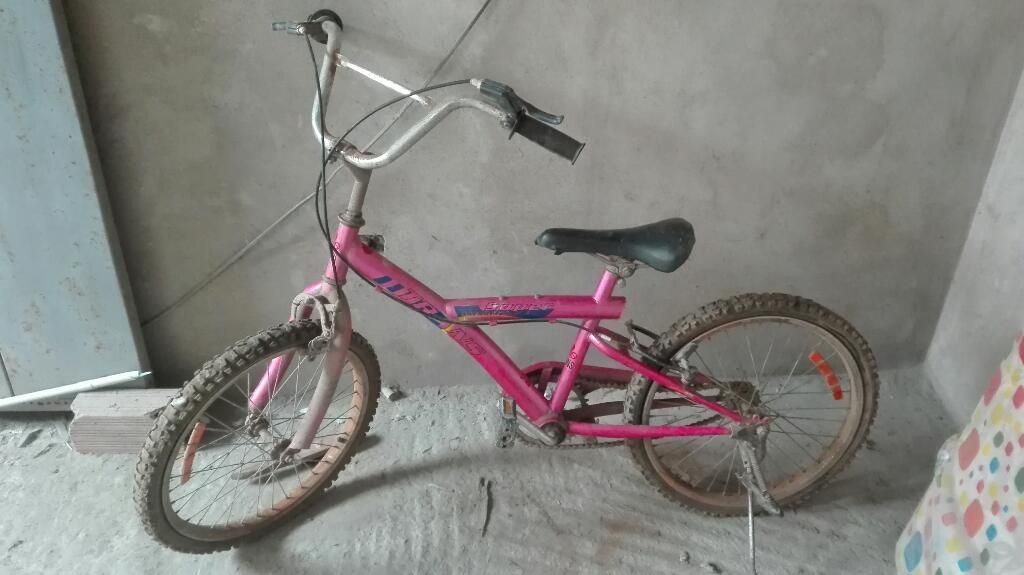 Bicicleta para Niña Aro 20