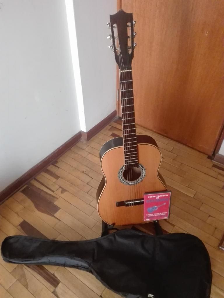 Linda Guitarra con estuche y video instruc Madera nacional