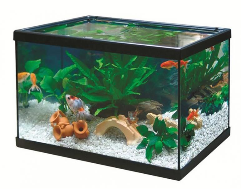 ACUARIO COMPLETO; vidrio,peces y accesorios... rspta