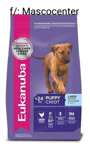 Delivery Gratis Eukanuba Puppy Larg Breed X 20kg (320 Soles)