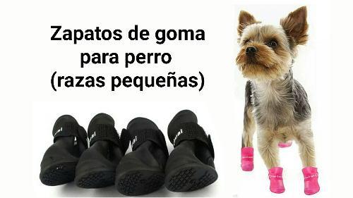 Zapatos (impermeables) Para Perros