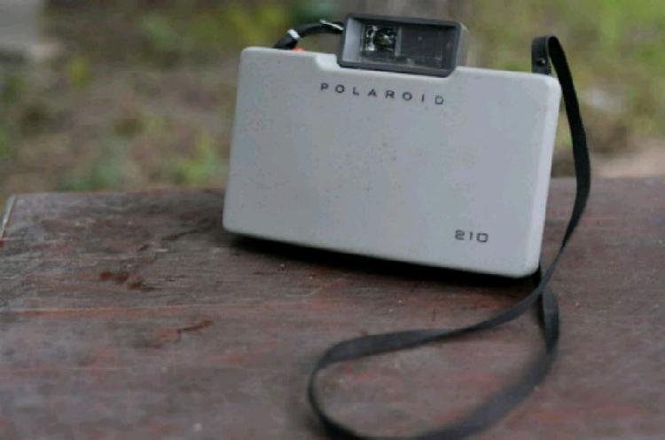 Polaroid 210