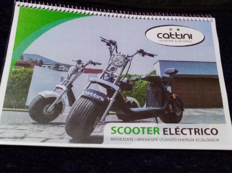 Cattini Scooter Eléctricos