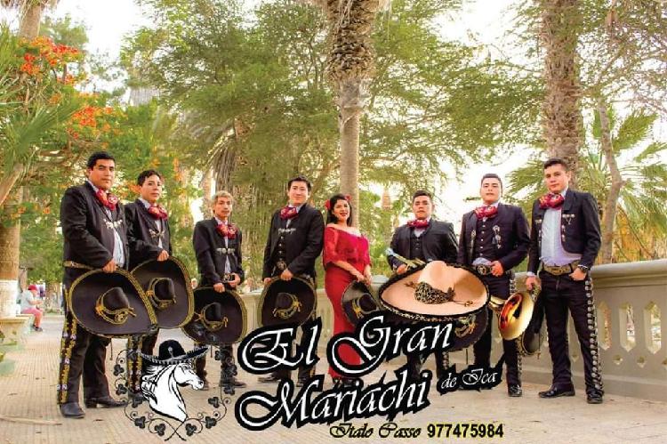 Gran Mariachi, Show de Mariachis en Ica