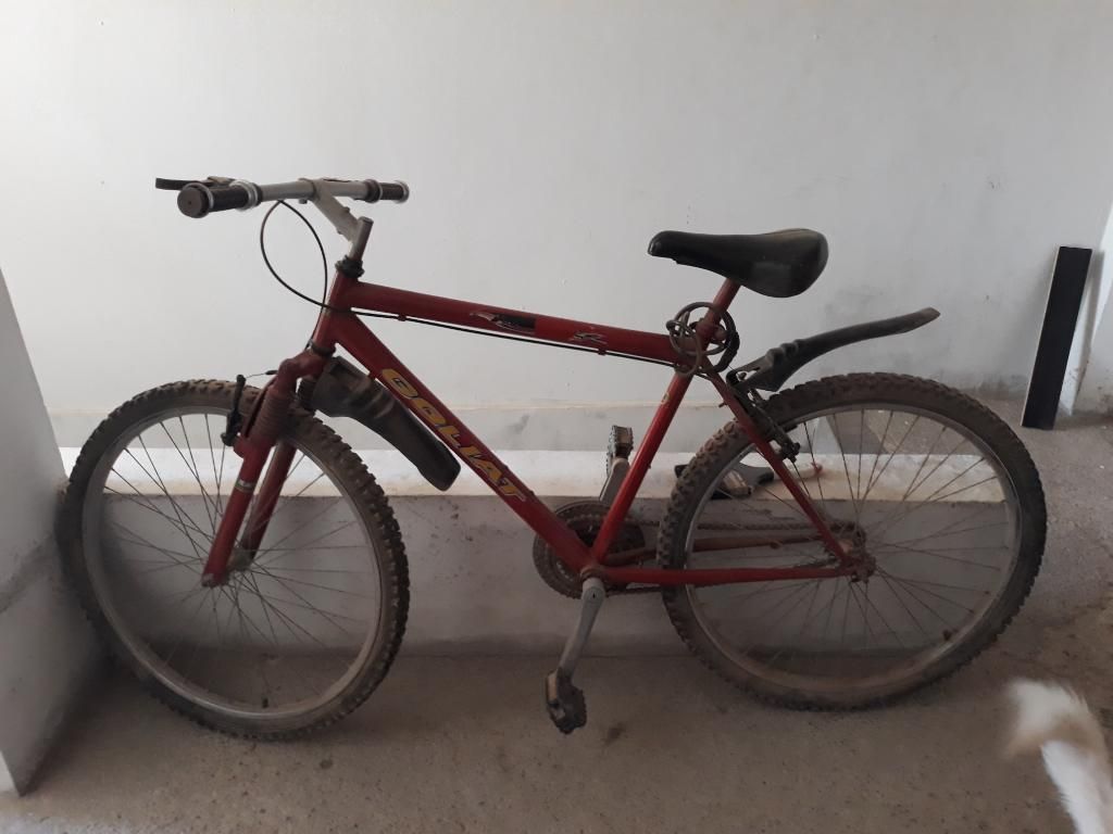 Bicicleta