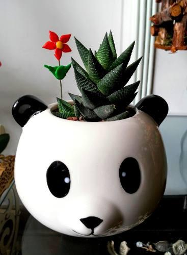 Macetero Decorativo Osito Panda - Decora Tu Oficina O Casa