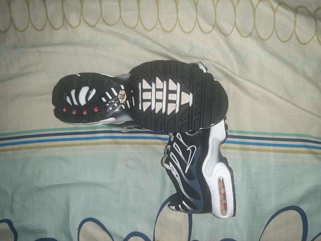 Zapatilla AirMax Plus