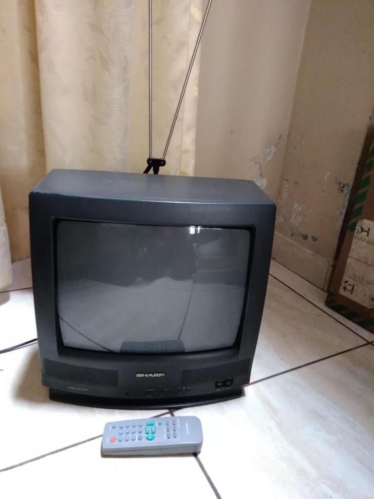 Televisor a color marca Sharp, de 14", modelo 14LK20. Usado.