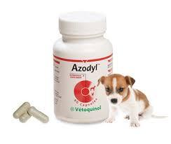 Suplemento para Mascotas Azodyl