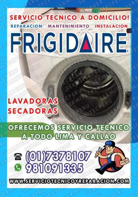 Técnicos Frigidaire>Especialistas en LAVADORAS-7378107