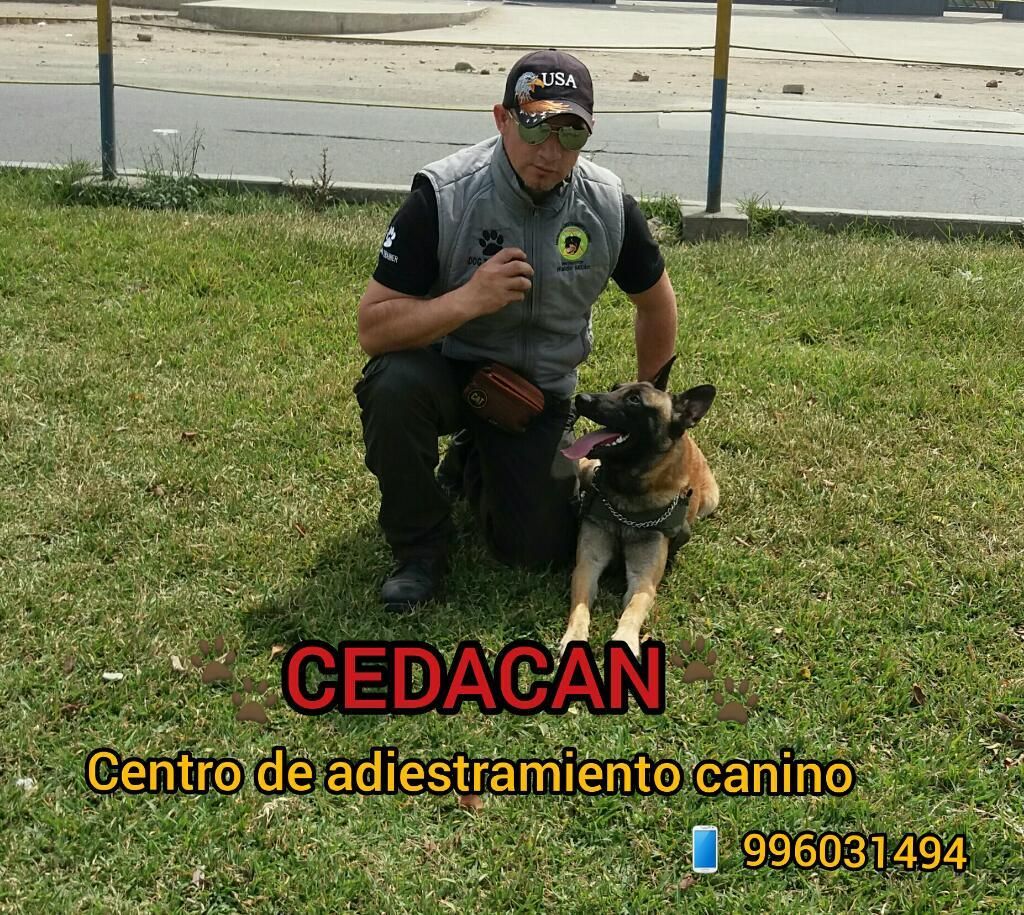 Adiestrador Canino Certificado