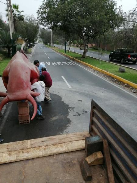 Hermosos Caballos Y Toro