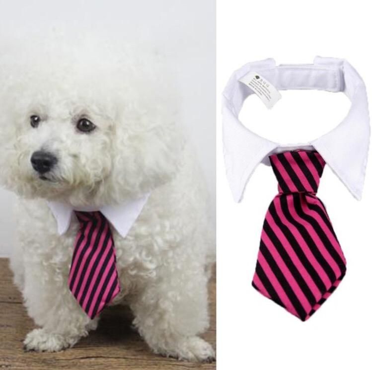Corbata para Mascota