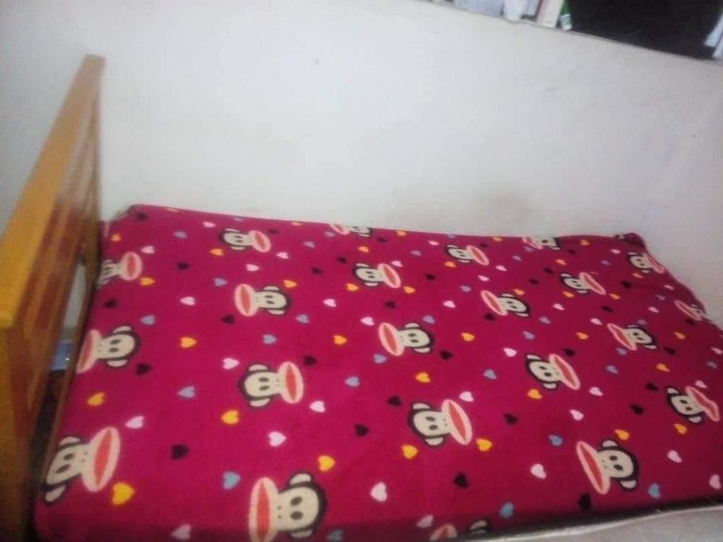 Cama plaza y media (invividua) colchón cama