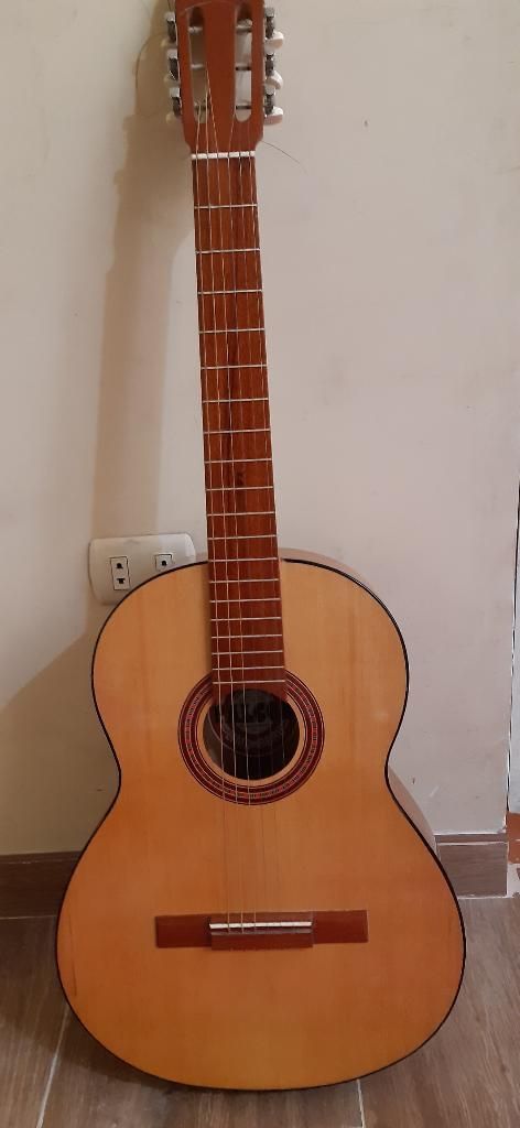 Guitarra Falcon 300 Soles