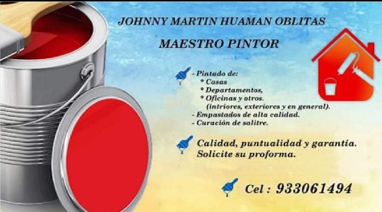 Maestro Pintor