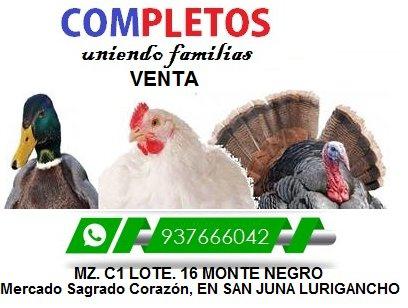 Mercado Sagrado Corazón. AVICOLA COMPLETOS 937666042