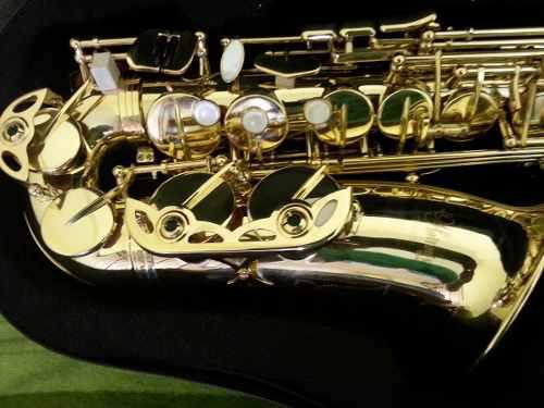 Saxo Dorado Holtons