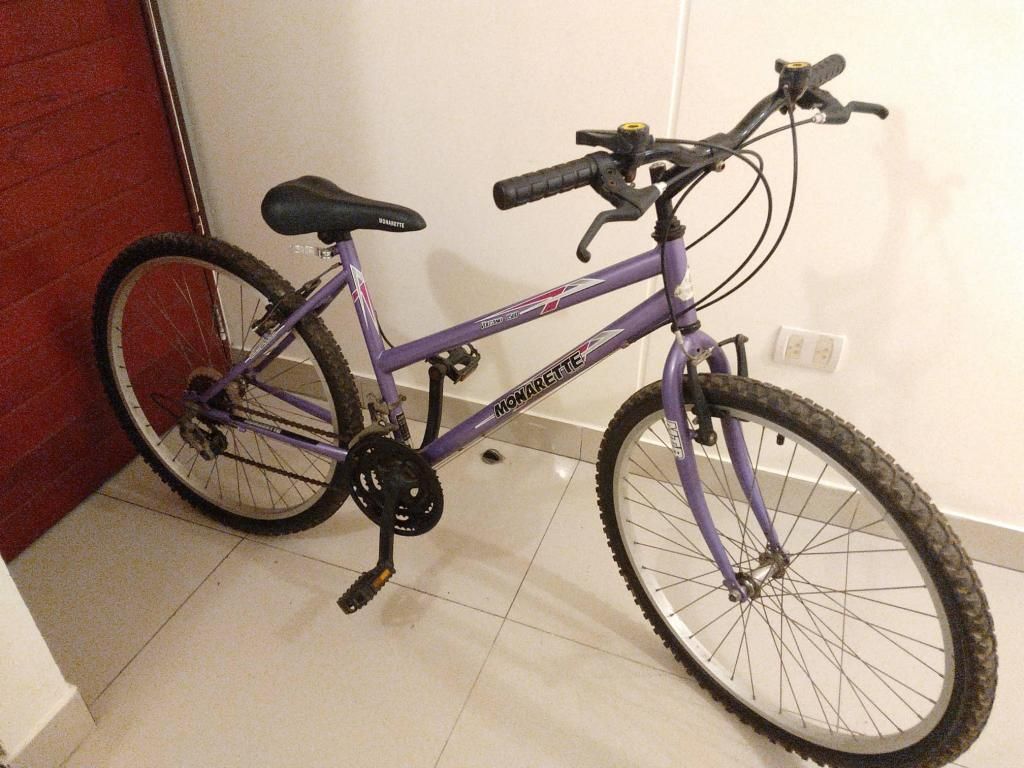Bicicletas Negra y Morada