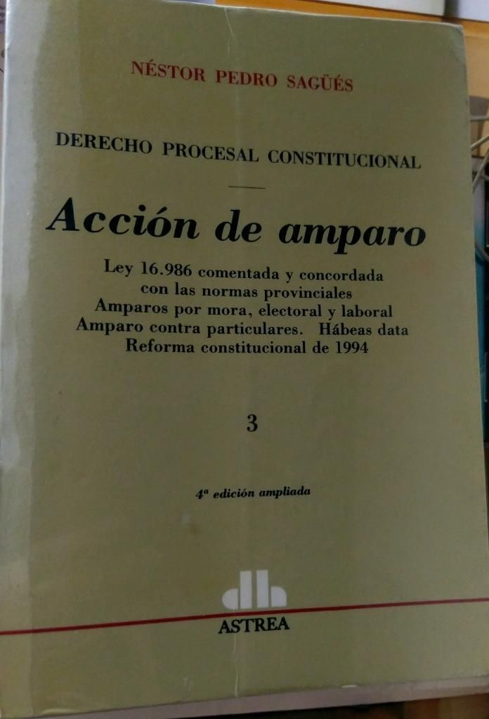 Acción de Amparo. Néstor Pedro Sagüés