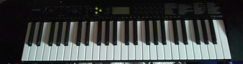 Casio CTK245